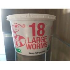 Live Bait - Worms - Large 18 pack